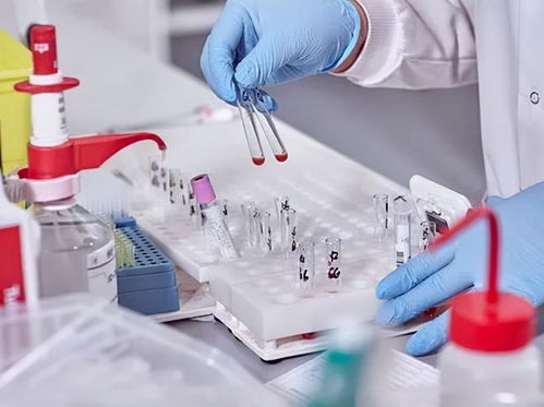 酒店洗護用品 在“洗牌、淘汰、升級”中重塑行業(yè)標準